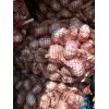 本人有中混大蒜100噸   需要的聯(lián)系