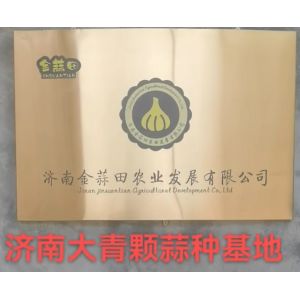 大量供應(yīng)濟(jì)南大青稞品種大蒜蒜種