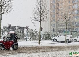 河南3月飄雪 蒜苗還好嗎？ ()