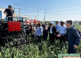 江蘇邳州：舉行大蒜收獲機(jī)觀摩會(huì) ()