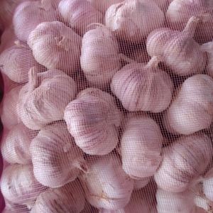 大量供應(yīng)市場貨，印尼，米料