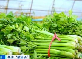 11月份全國蔬菜價(jià)格區(qū)間下行 ()